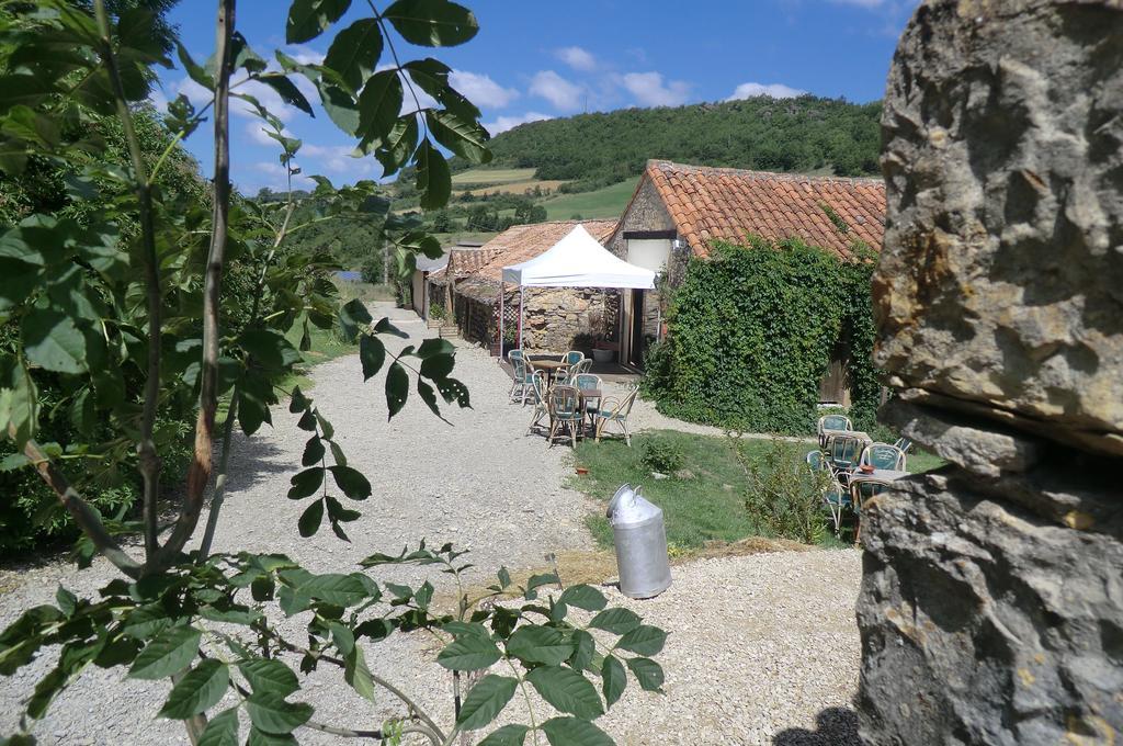 Domaine D'Alcapies Bed & Breakfast Saint-Jean-d'Alcapies Ngoại thất bức ảnh